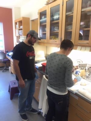 Kiefer Rodriguez in a lab.